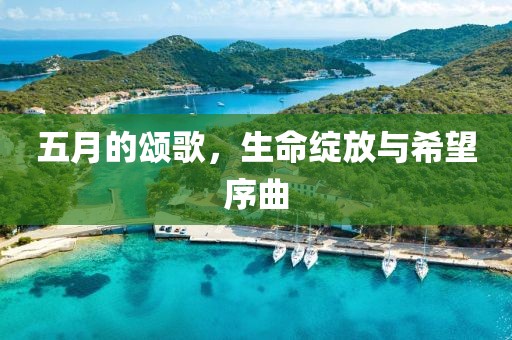 五月的颂歌，生命绽放与希望序曲