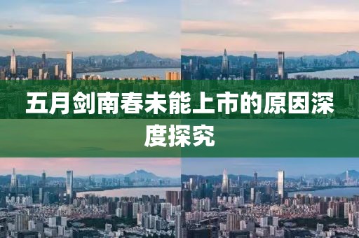 五月剑南春未能上市的原因深度探究