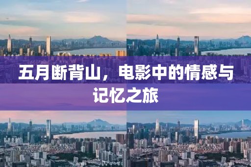 五月断背山，电影中的情感与记忆之旅