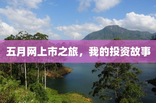 五月网上市之旅，我的投资故事