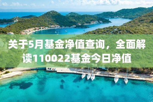 关于5月基金净值查询，全面解读110022基金今日净值