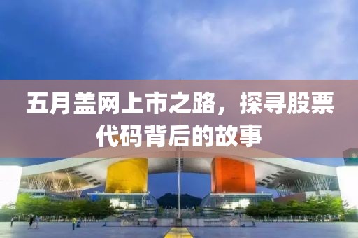 五月盖网上市之路，探寻股票代码背后的故事