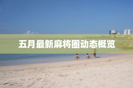 五月最新麻将圈动态概览