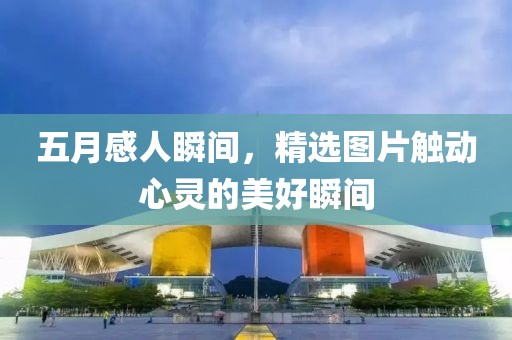 五月感人瞬间，精选图片触动心灵的美好瞬间
