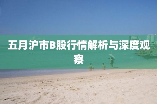 五月沪市B股行情解析与深度观察