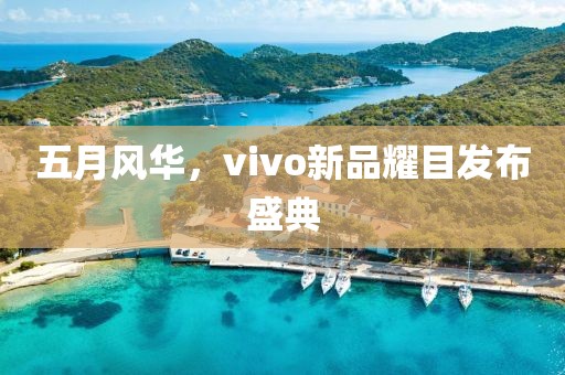 五月风华，vivo新品耀目发布盛典