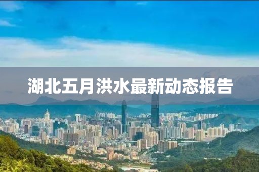 湖北五月洪水最新动态报告