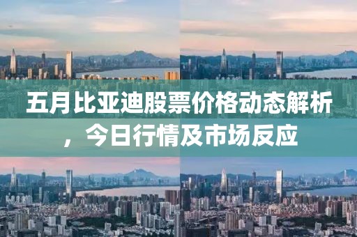 五月比亚迪股票价格动态解析，今日行情及市场反应