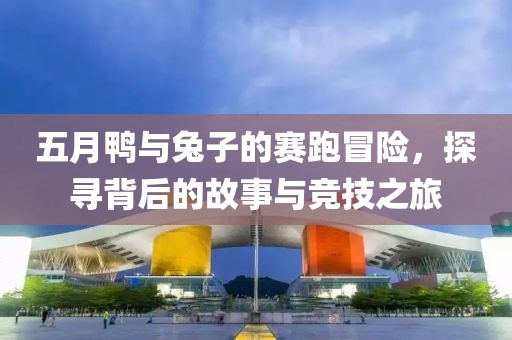 五月鸭与兔子的赛跑冒险，探寻背后的故事与竞技之旅