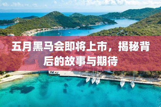五月黑马会即将上市，揭秘背后的故事与期待