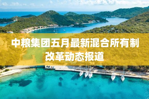 中粮集团五月最新混合所有制改革动态报道