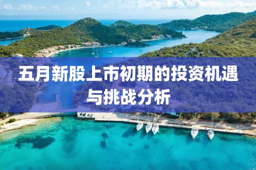 五月新股上市初期的投资机遇与挑战分析