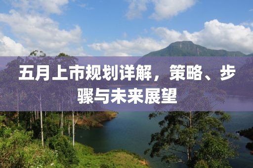五月上市规划详解，策略、步骤与未来展望