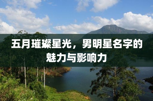 五月璀璨星光，男明星名字的魅力与影响力