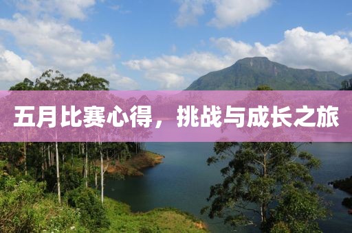 五月比赛心得，挑战与成长之旅