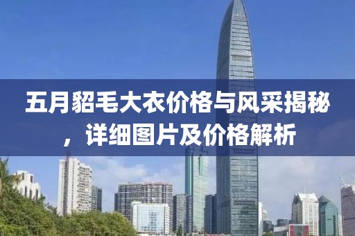五月貂毛大衣价格与风采揭秘，详细图片及价格解析