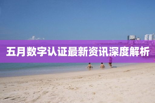 五月数字认证最新资讯深度解析