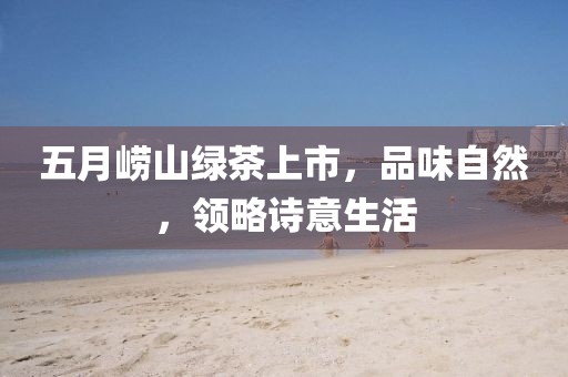 五月崂山绿茶上市，品味自然，领略诗意生活