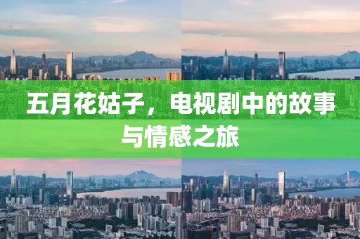 五月花姑子，电视剧中的故事与情感之旅