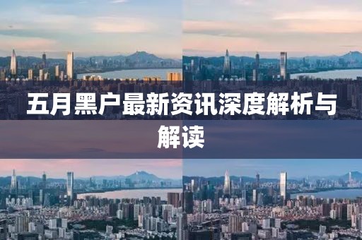 五月黑户最新资讯深度解析与解读