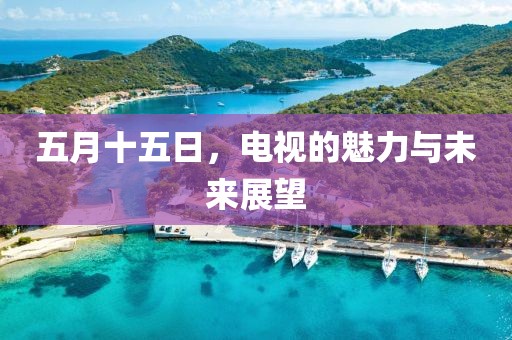五月十五日，电视的魅力与未来展望