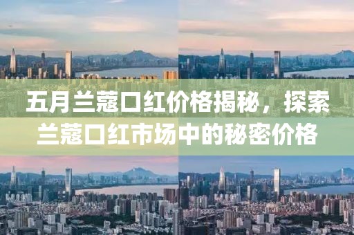 五月兰蔻口红价格揭秘，探索兰蔻口红市场中的秘密价格