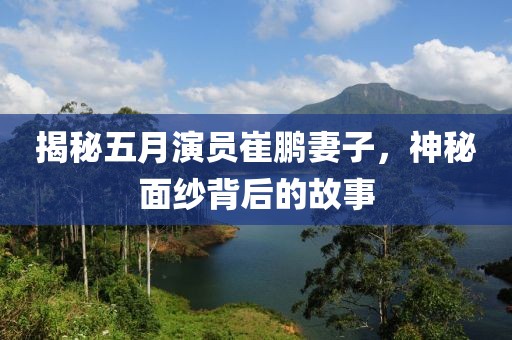 揭秘五月演员崔鹏妻子，神秘面纱背后的故事