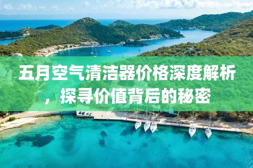 五月空气清洁器价格深度解析，探寻价值背后的秘密