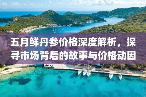 五月鲜丹参价格深度解析，探寻市场背后的故事与价格动因
