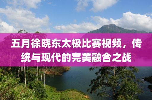 五月徐晓东太极比赛视频，传统与现代的完美融合之战