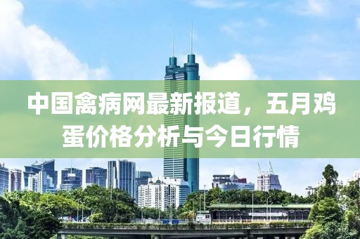 中国禽病网最新报道，五月鸡蛋价格分析与今日行情