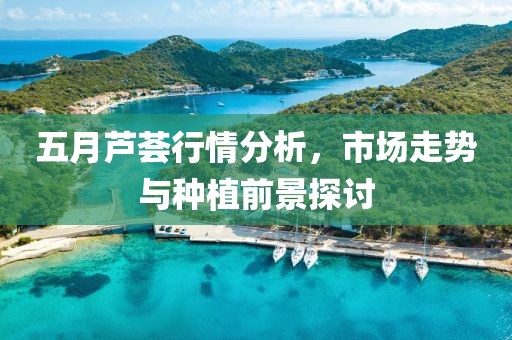 五月芦荟行情分析，市场走势与种植前景探讨