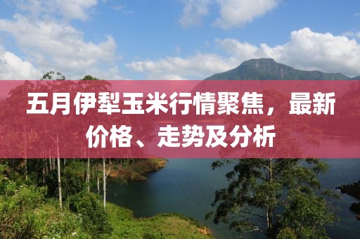 五月伊犁玉米行情聚焦，最新价格、走势及分析