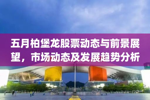 五月柏堡龙股票动态与前景展望，市场动态及发展趋势分析