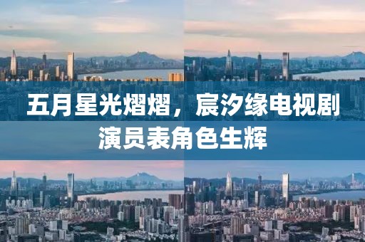 五月星光熠熠，宸汐缘电视剧演员表角色生辉