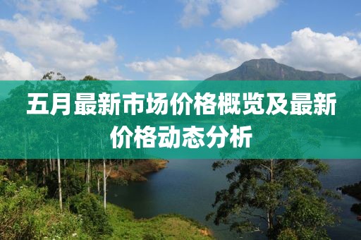 五月最新市场价格概览及最新价格动态分析