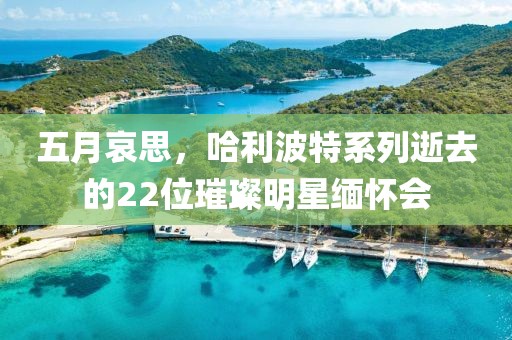 五月哀思，哈利波特系列逝去的22位璀璨明星缅怀会