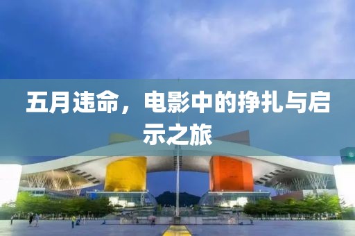 五月违命，电影中的挣扎与启示之旅