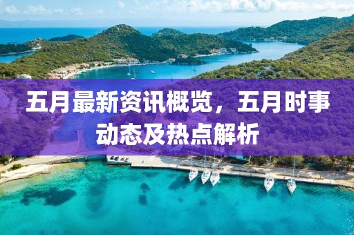 五月最新资讯概览，五月时事动态及热点解析
