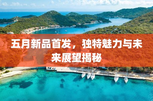 五月新品首发，独特魅力与未来展望揭秘