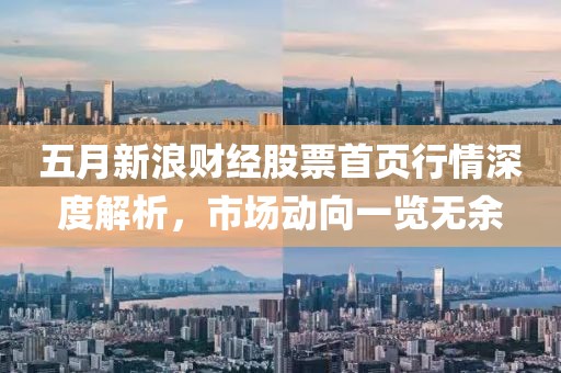 五月新浪财经股票首页行情深度解析，市场动向一览无余