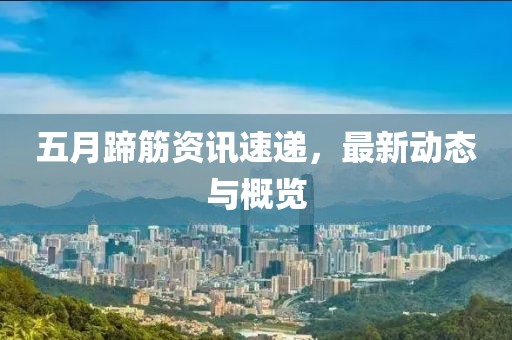 五月蹄筋资讯速递，最新动态与概览