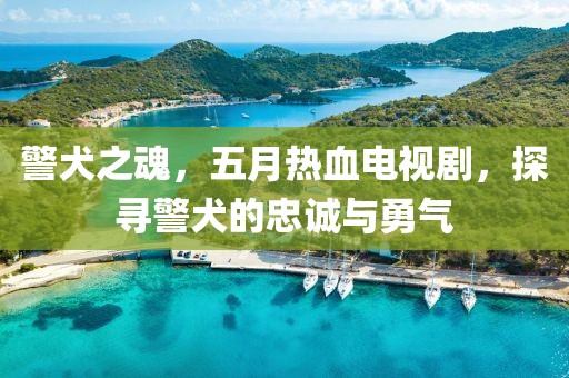 警犬之魂，五月热血电视剧，探寻警犬的忠诚与勇气