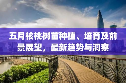 五月核桃树苗种植、培育及前景展望，最新趋势与洞察