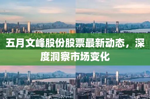 五月文峰股份股票最新动态，深度洞察市场变化