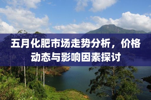 五月化肥市场走势分析，价格动态与影响因素探讨