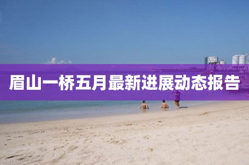眉山一桥五月最新进展动态报告