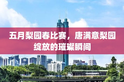五月梨园春比赛，唐满意梨园绽放的璀璨瞬间