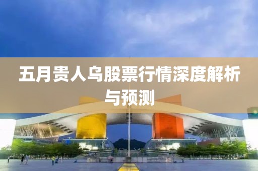 五月贵人乌股票行情深度解析与预测