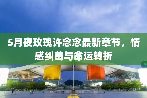 5月夜玫瑰许念念最新章节，情感纠葛与命运转折